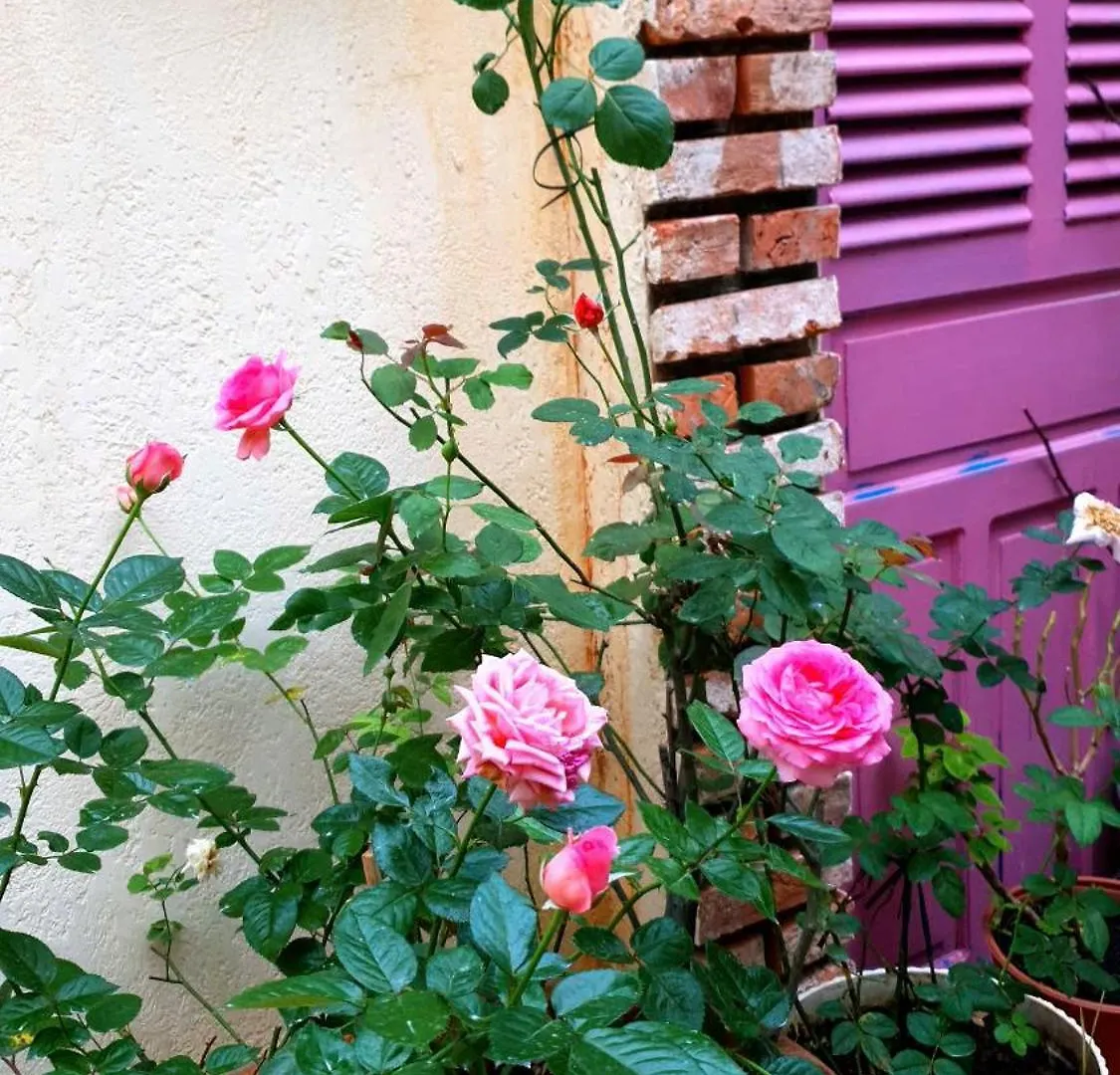 Seven Dady Homestay Vung Tau 0*,  Vietnam