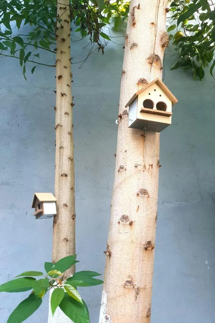 Guest house Seven Dady Homestay Vung Tau Vietnam